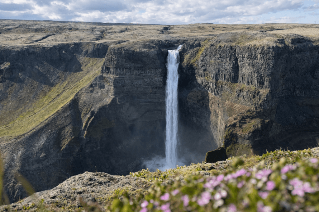 Haifoss waterfall in Iceland with canyon landscape